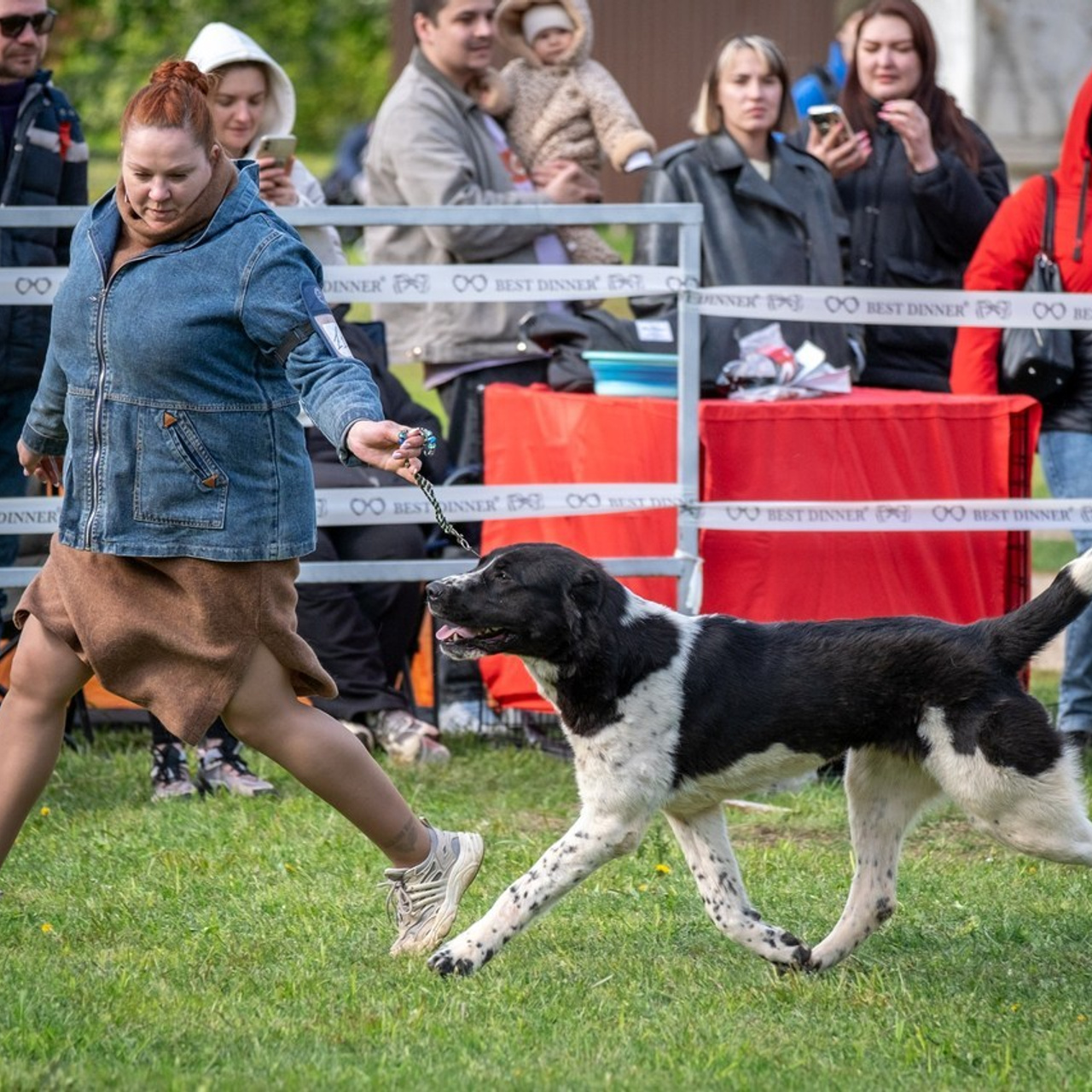 Отзывы. Зоофотограф, фотограф животных в Москве и области Дина Дамоцева
