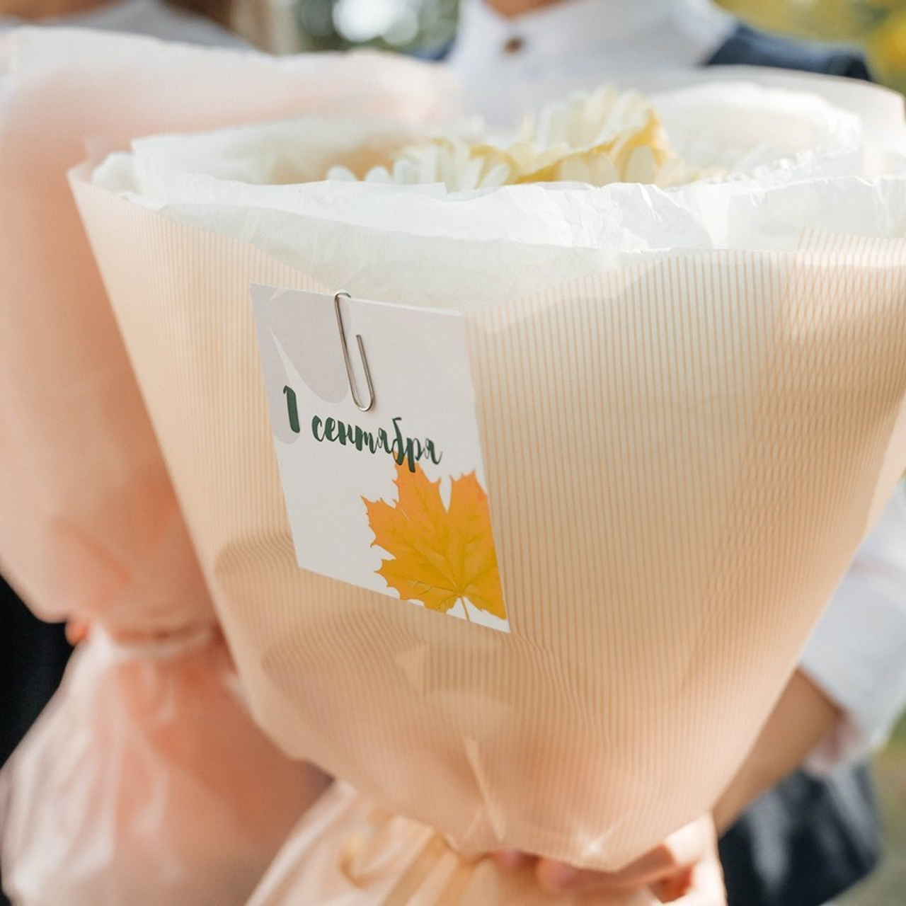 Отзывы. Свадебный и семейный фотограф г. Ярославль Савинская Анастасия