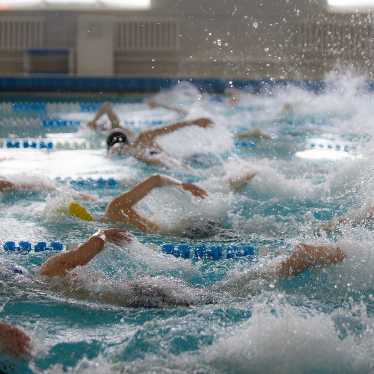 Отзывы. Спортивный фотограф Плотникова Наталья