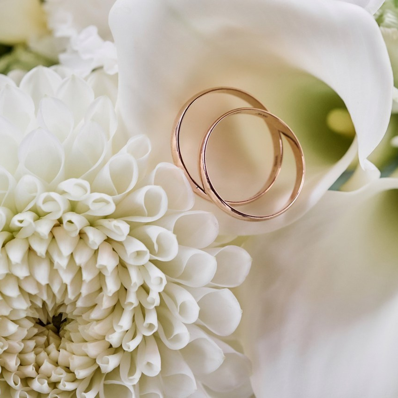 Отзывы. Свадебный фотограф в Москве и Подмосковье