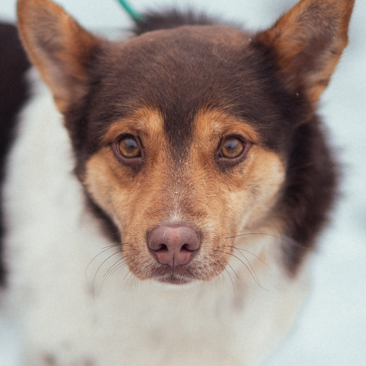 Reviews. Https://hellenm.com/