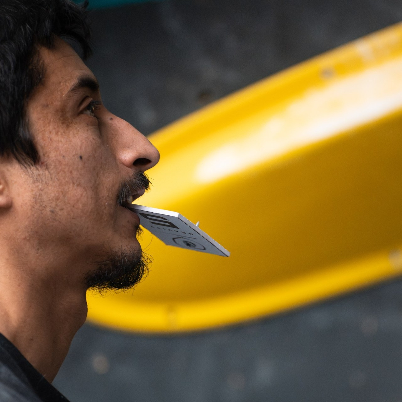 Comentarios. Fotógrafos Daria y Dmitry Arsentyevs