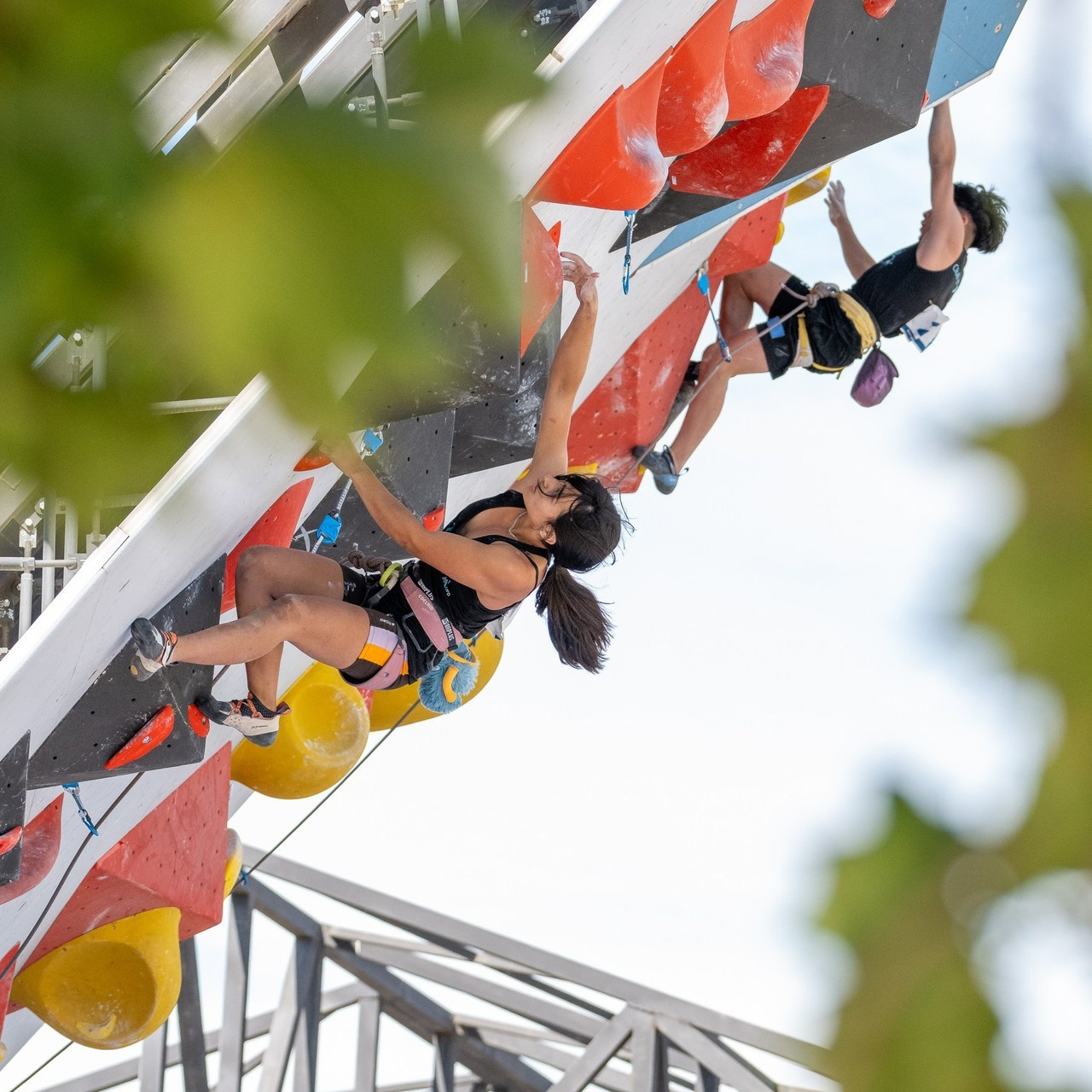 Comentarios. Fotógrafos Daria y Dmitry Arsentyevs