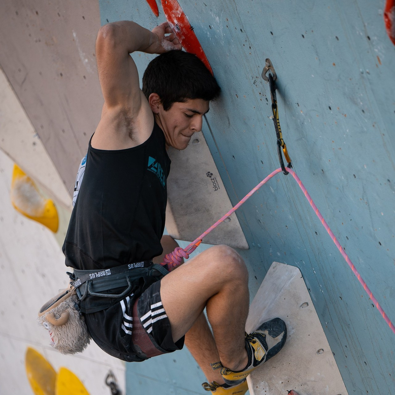 Comentarios. Fotógrafos Daria y Dmitry Arsentyevs