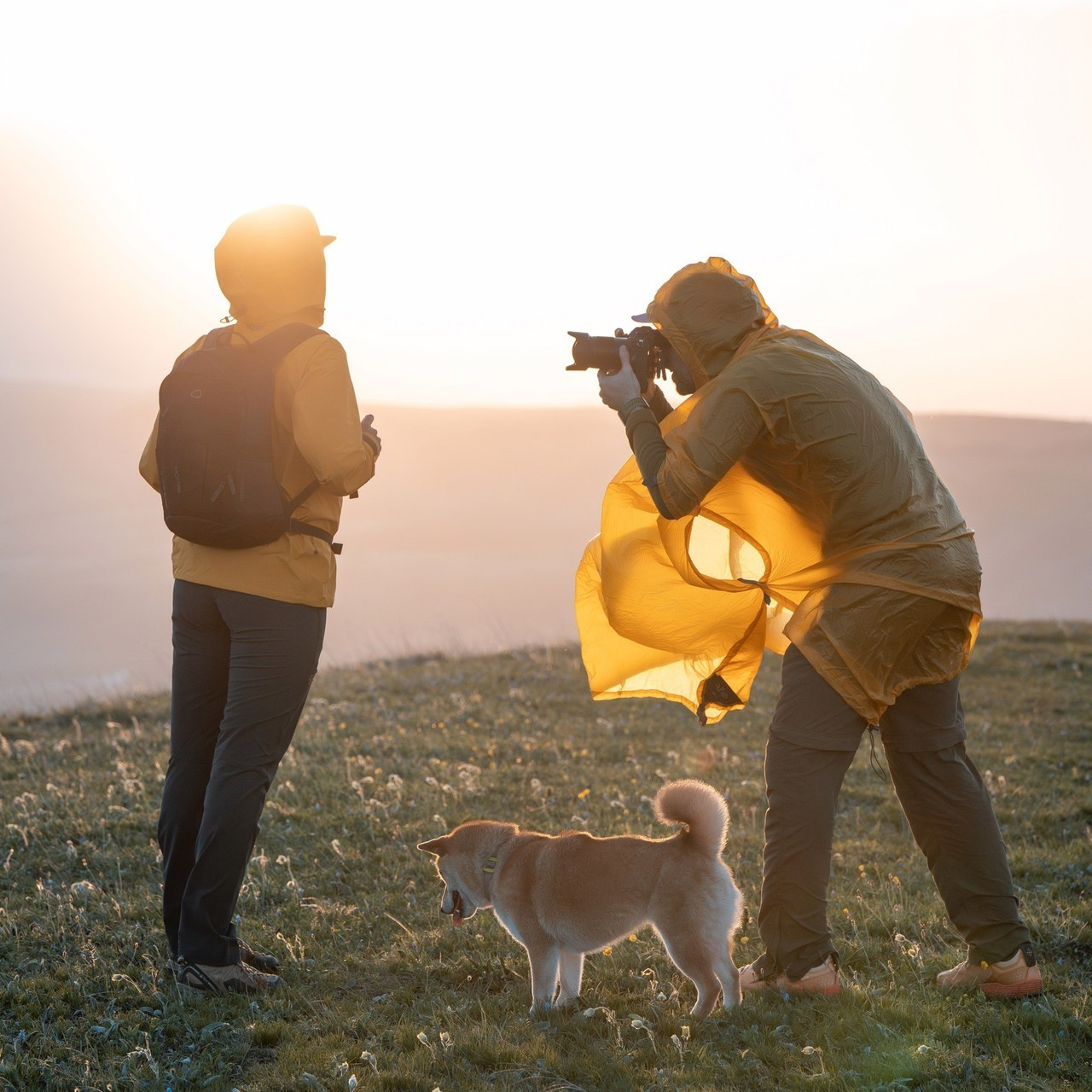 Comentarios. Fotógrafos Daria y Dmitry Arsentyevs