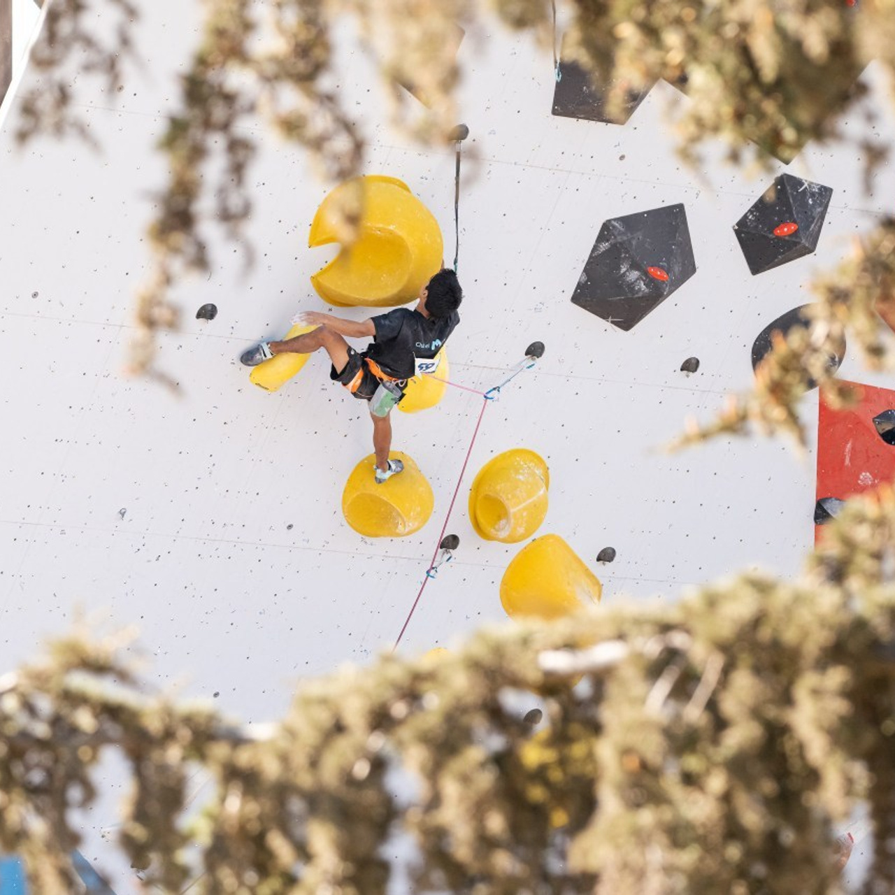 Comentarios. Fotógrafos Daria y Dmitry Arsentyevs