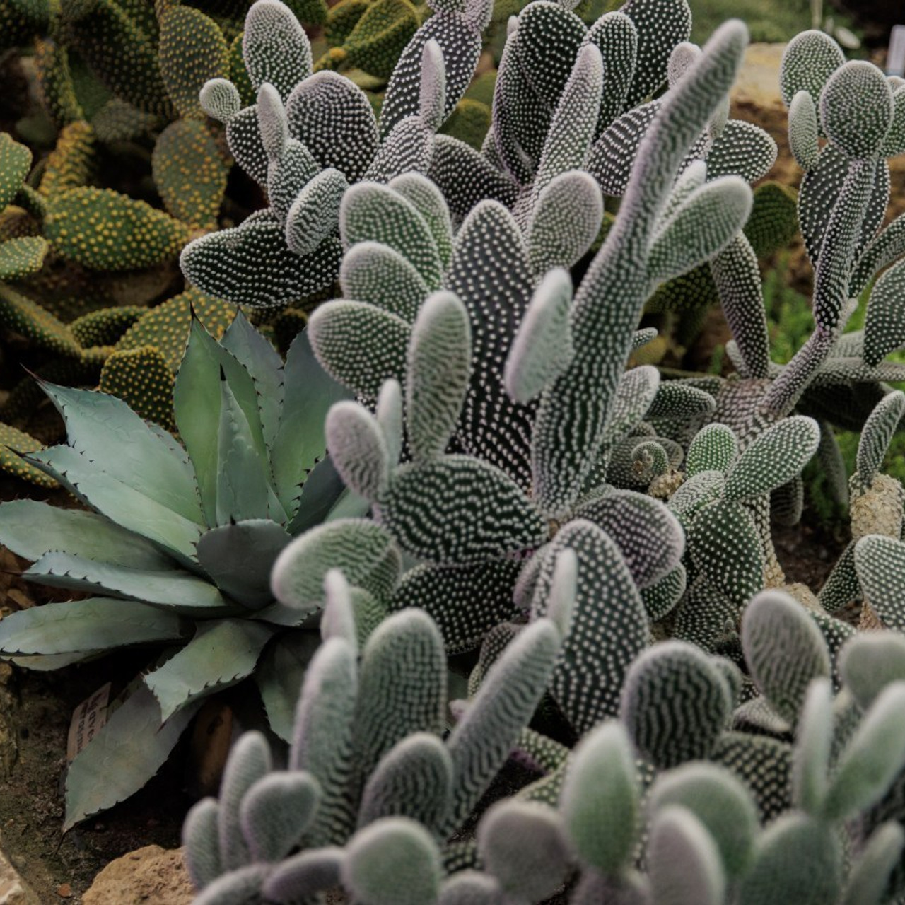 Отзывы. Контент-фотограф в Санкт-Петербурге Евгения Трастандецкая