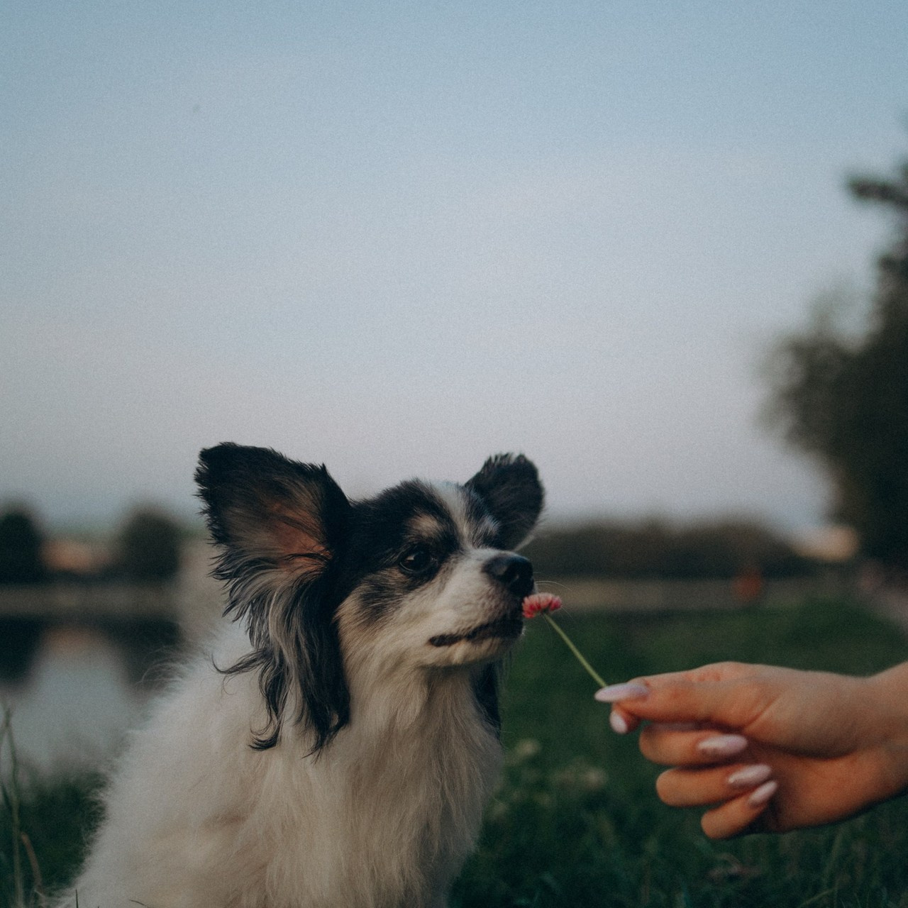 Отзывы. Фотораф — анималист Мария Шистка
