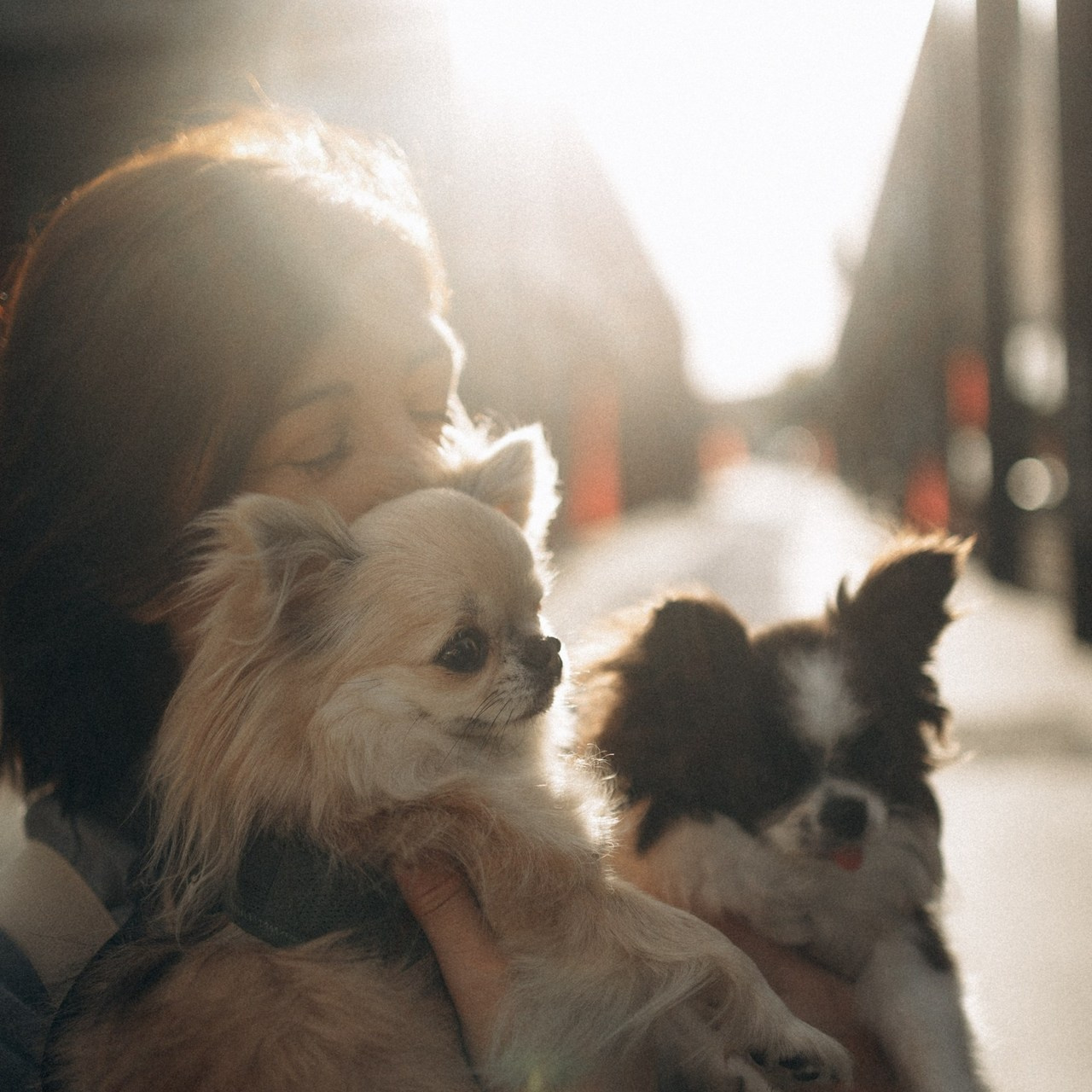 Отзывы. Фотораф — анималист Мария Шистка