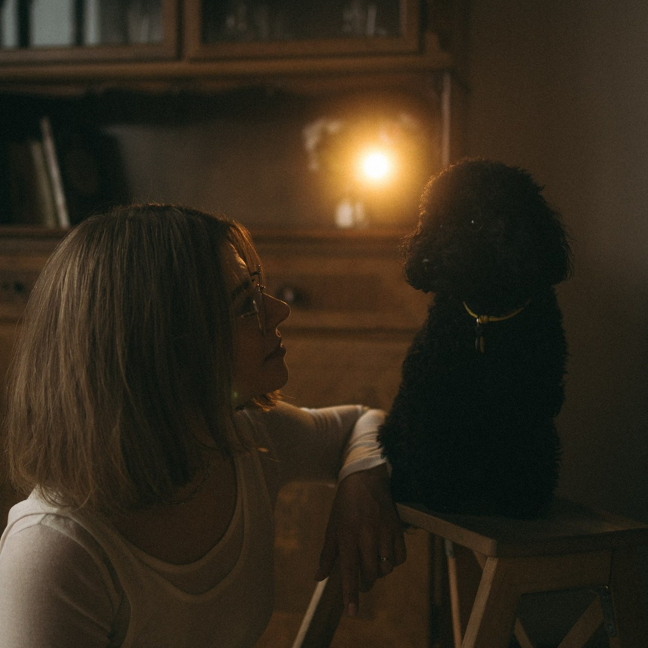 Отзывы. Фотораф — анималист Мария Шистка