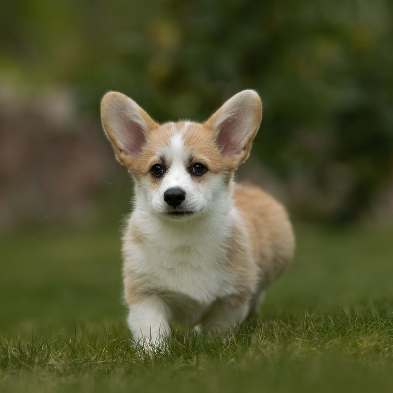Отзывы. Семейный фотограф в Санкт-Петербурге Ирина Мороз