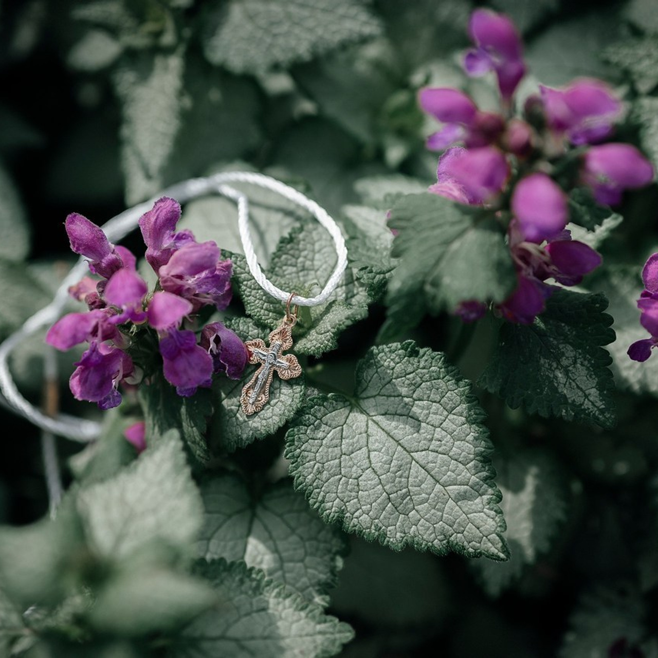 Отзывы о работе фотографа Екатерины Жуковой Санкт-Петербург. Фотограф в Санкт-Петербурге Жукова Екатерина