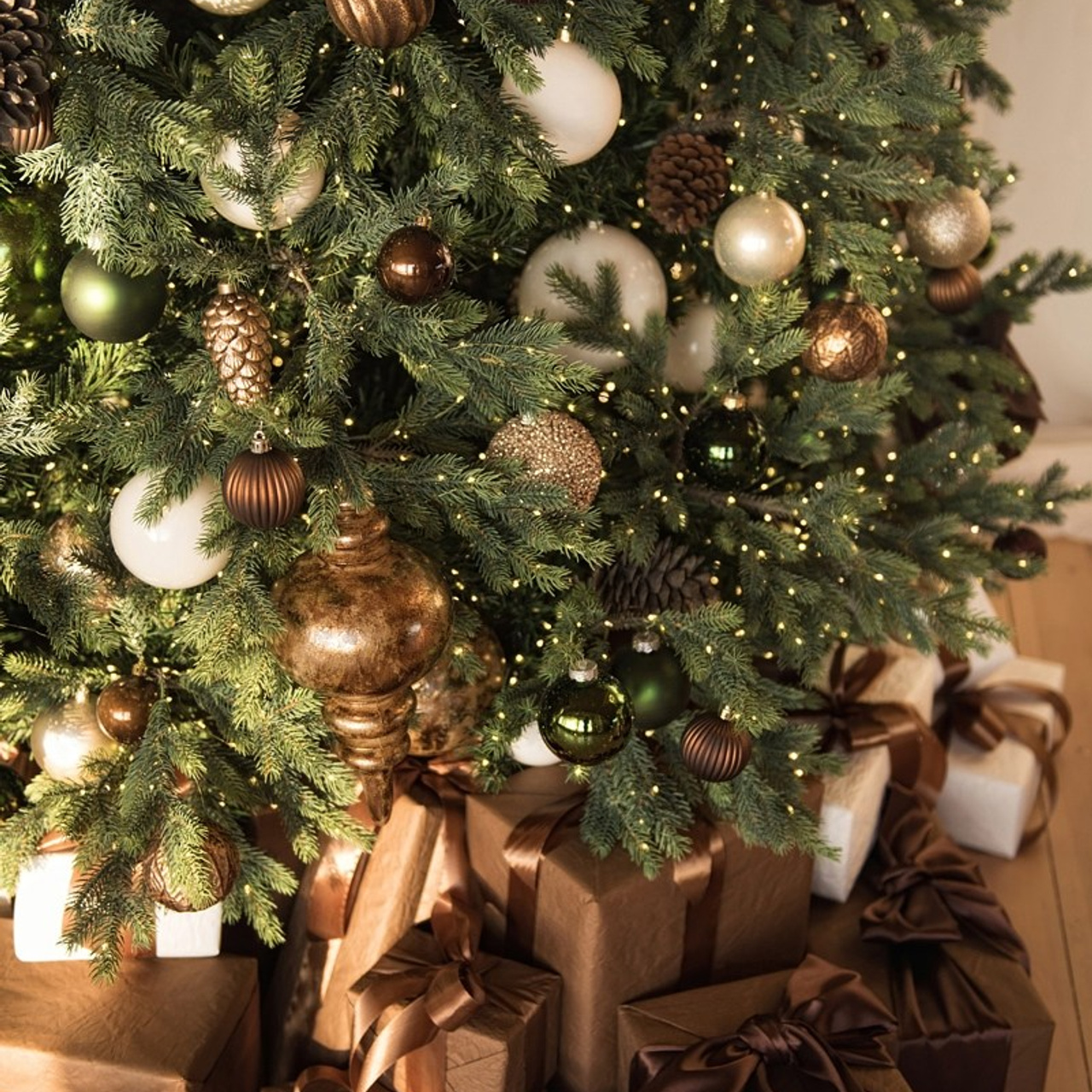 Отзывы. Таня Давтян фотограф в Новосибирске