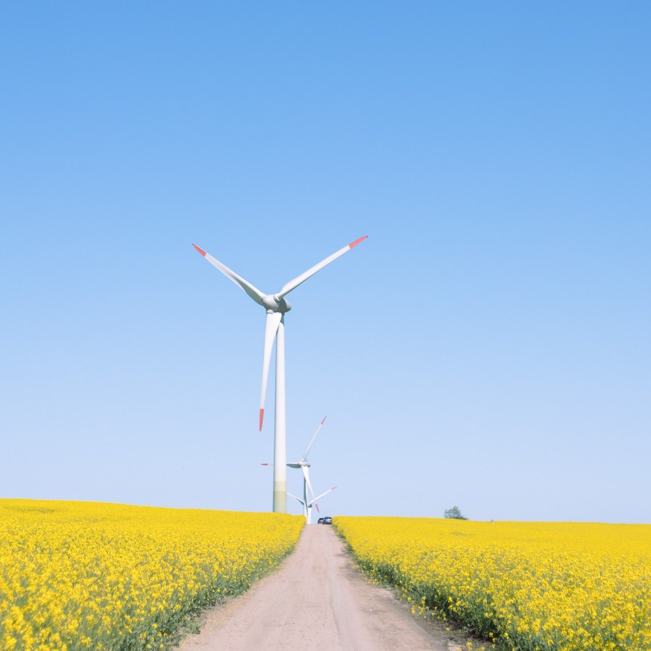 Отзывы. Свадебный фотограф Калининград