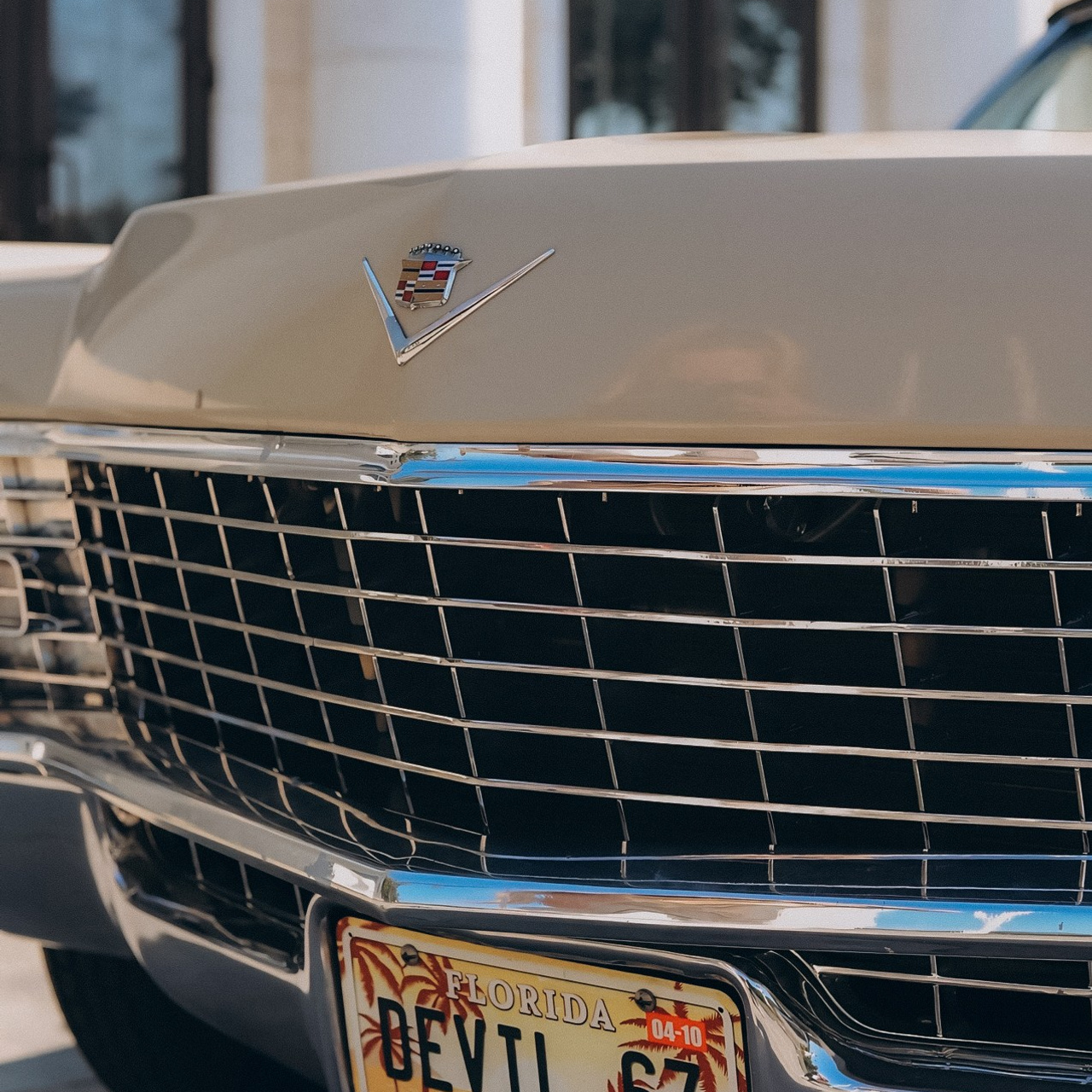 Регина. КОММЕРЧЕСКИЙ ФОТОГРАФ Ksana