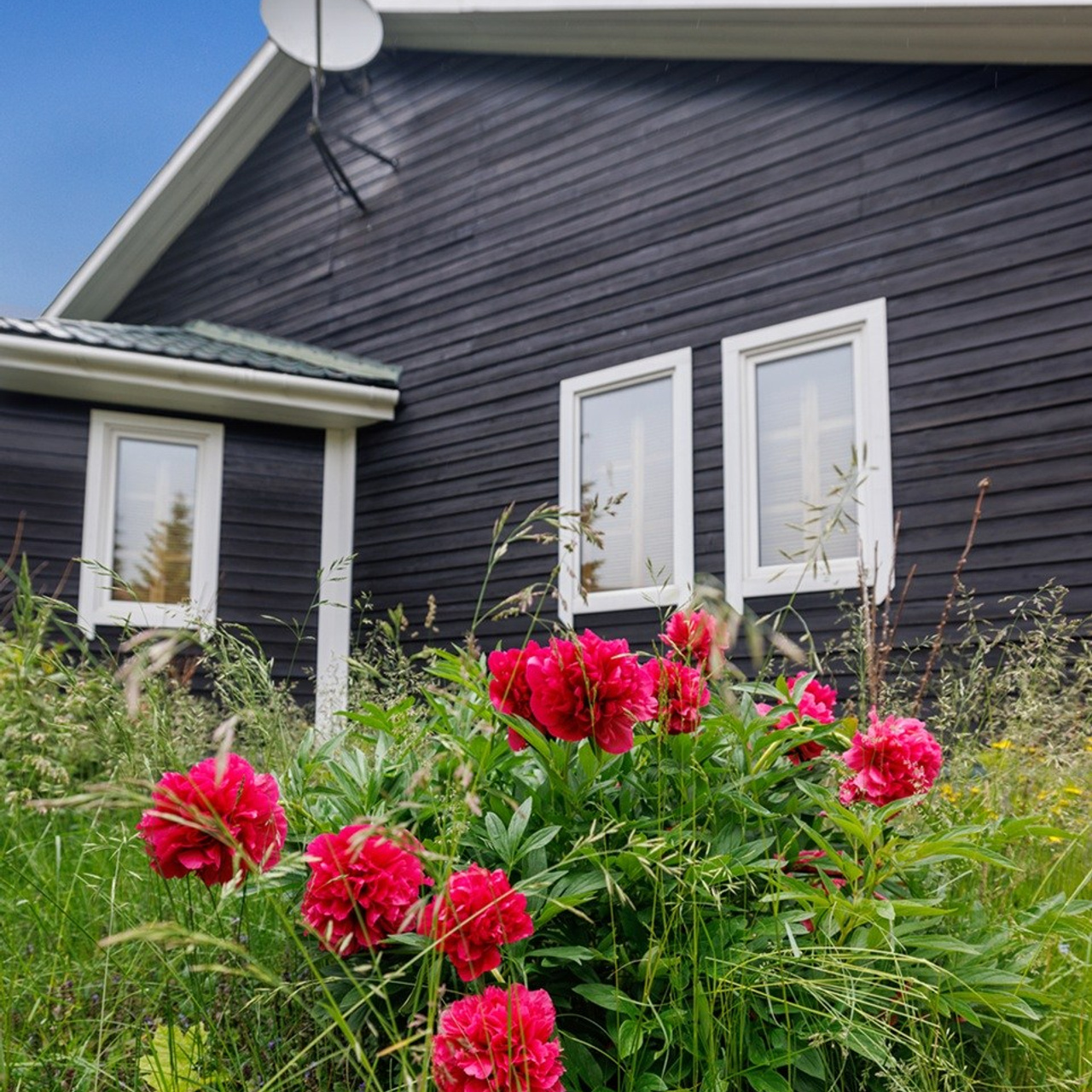 ПОРТФОЛИО. Интерьерный фотограф из Санкт-Петербурга Елена Головкова