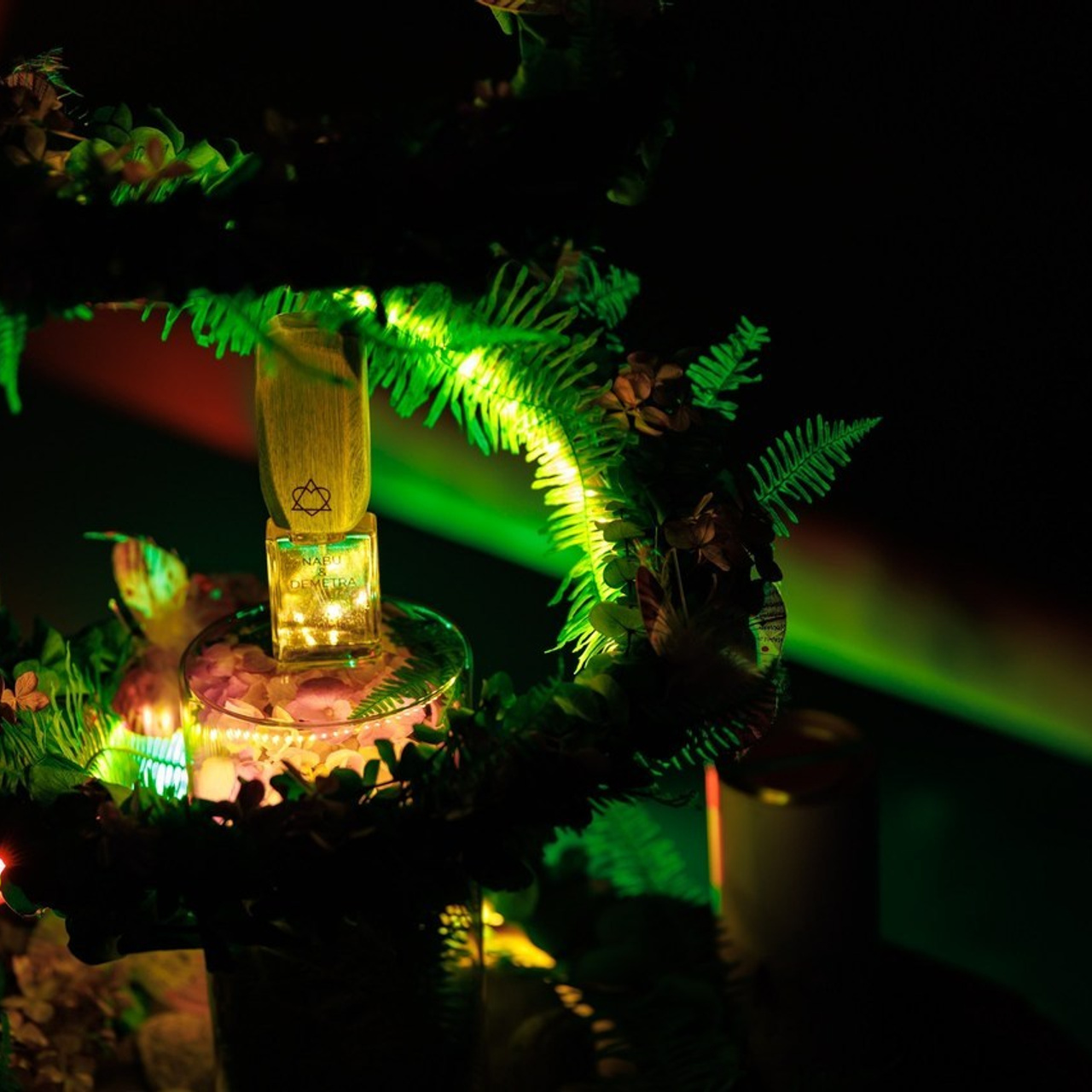 Отзывы. Фотограф в Вологде Иван Белоусов