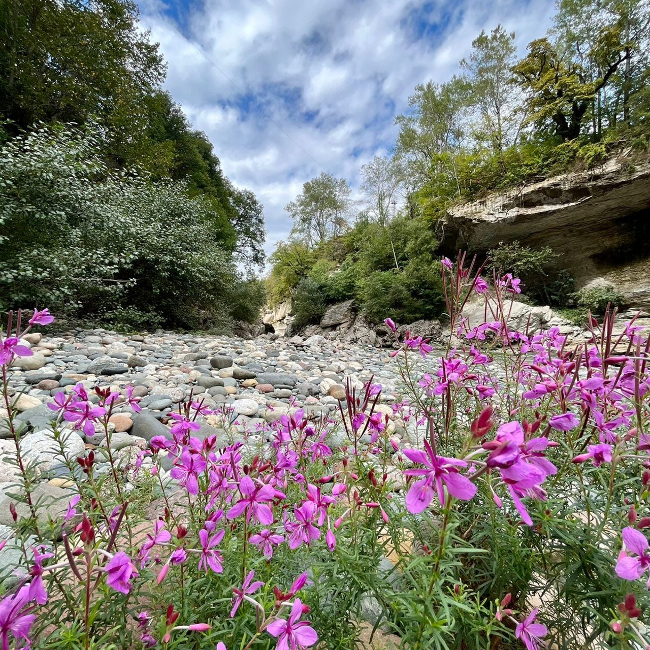 Отзывы. Выпускной альбом г. Краснодар