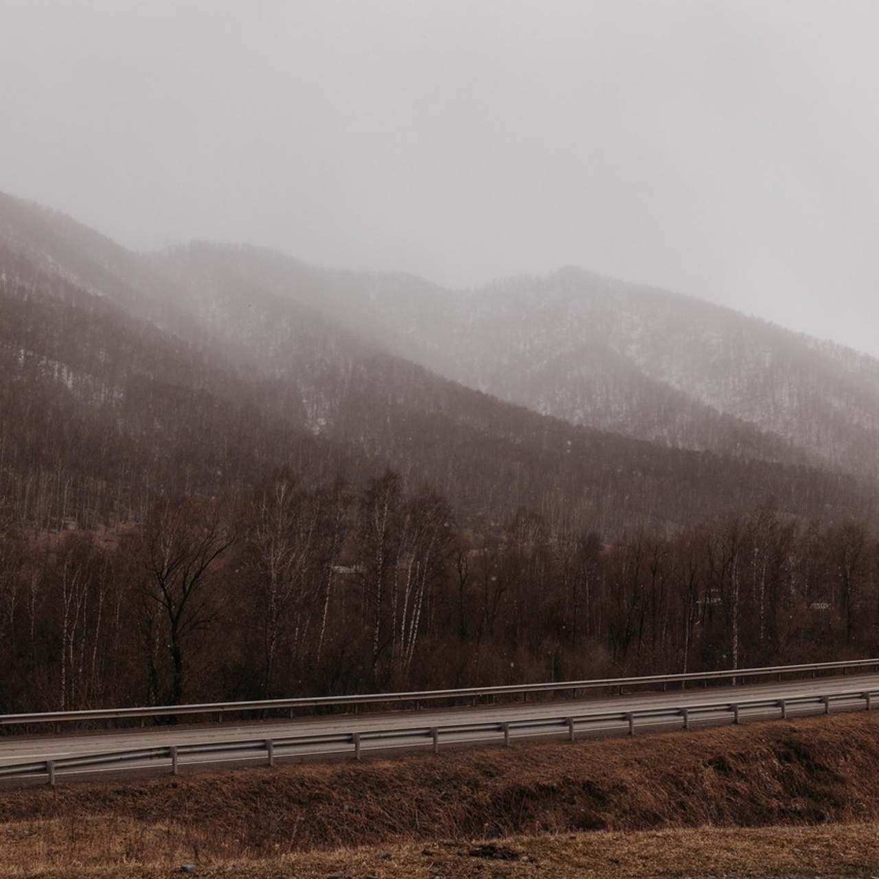 Отзывы. Школьный фотограф в Новосибирске Наталья Иванченко