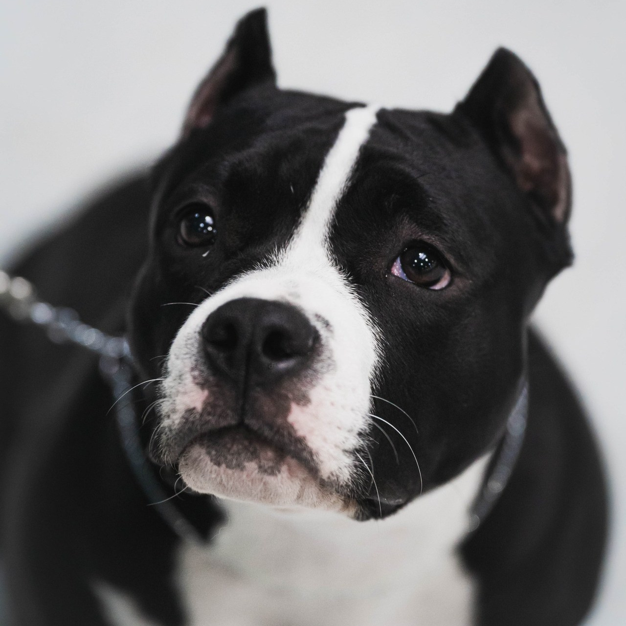 Отзывы. Фотограф в Москве Ленарская Дарья