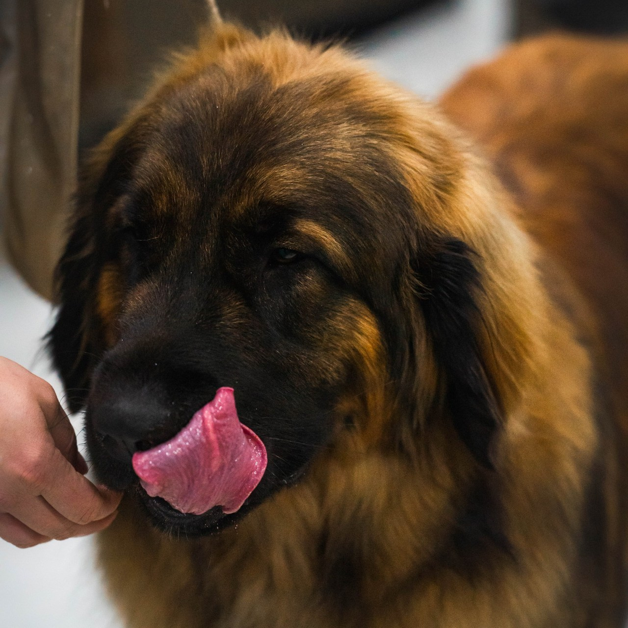Отзывы. Фотограф в Москве Ленарская Дарья