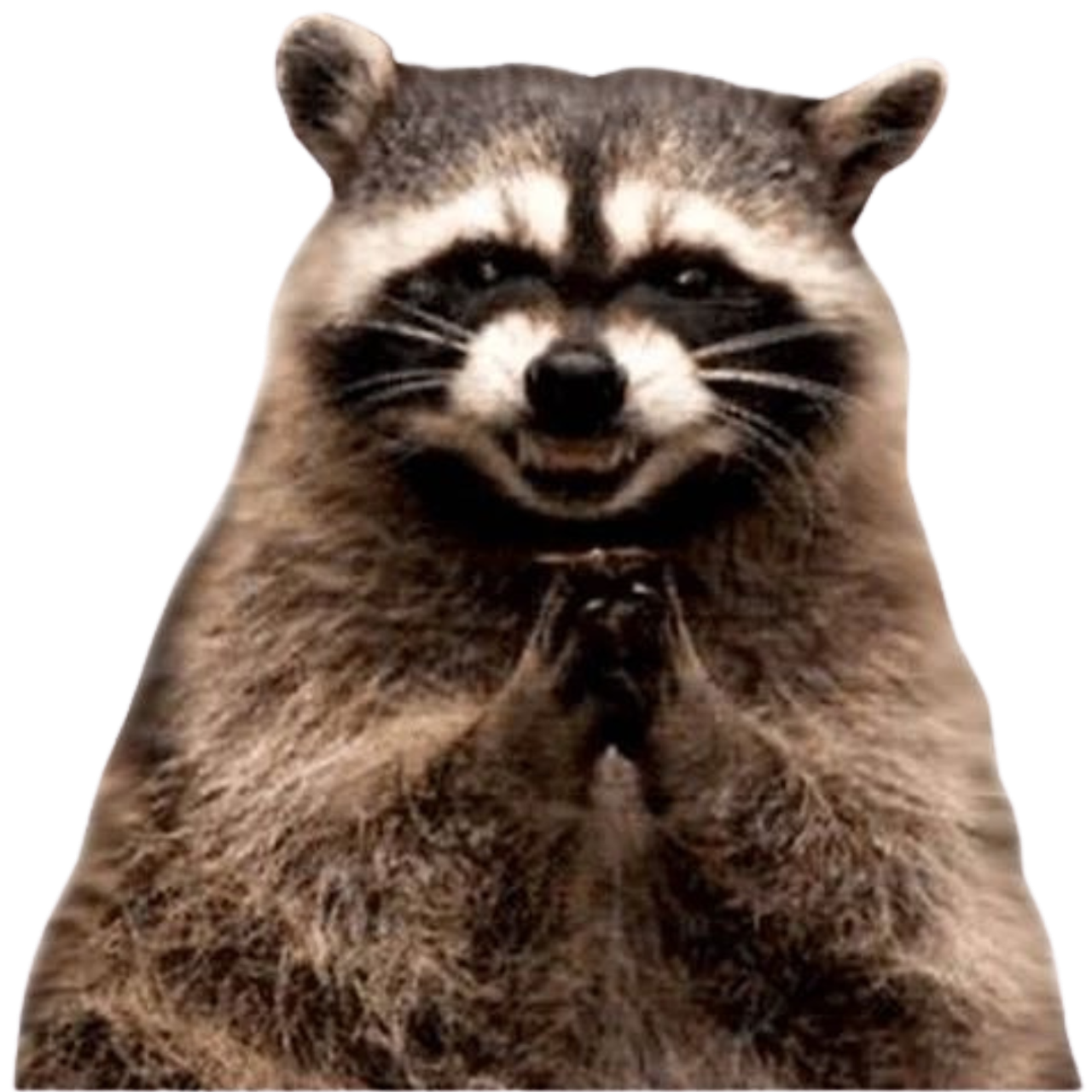 Договор отчуждения авторских прав. Фотограф Наталия Федосова, г. Москва. TG и Instagram @nataliya_raw