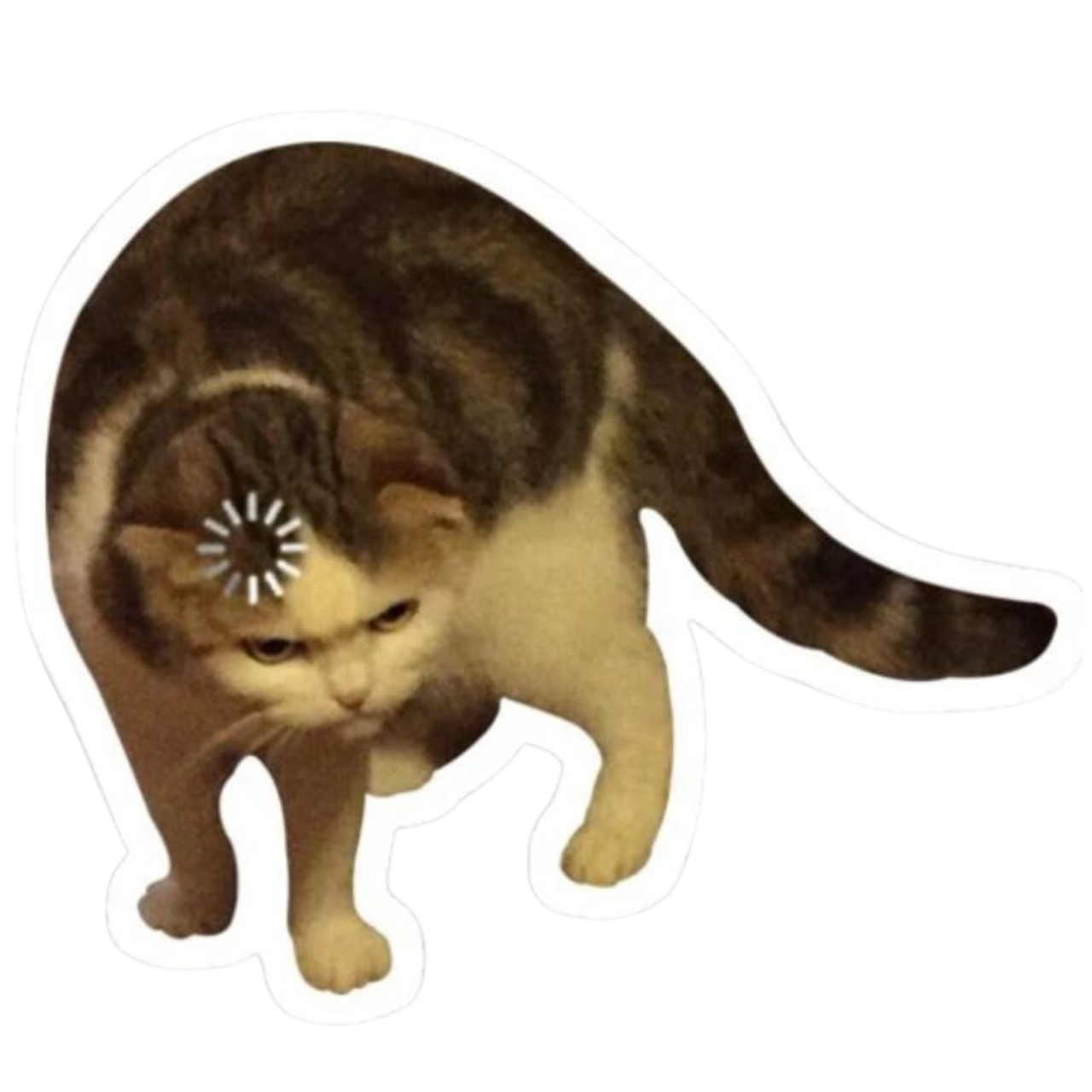 Юридическая упаковка сайта под ключ. Фотограф Наталия Федосова, г. Москва. TG и Instagram @nataliya_raw