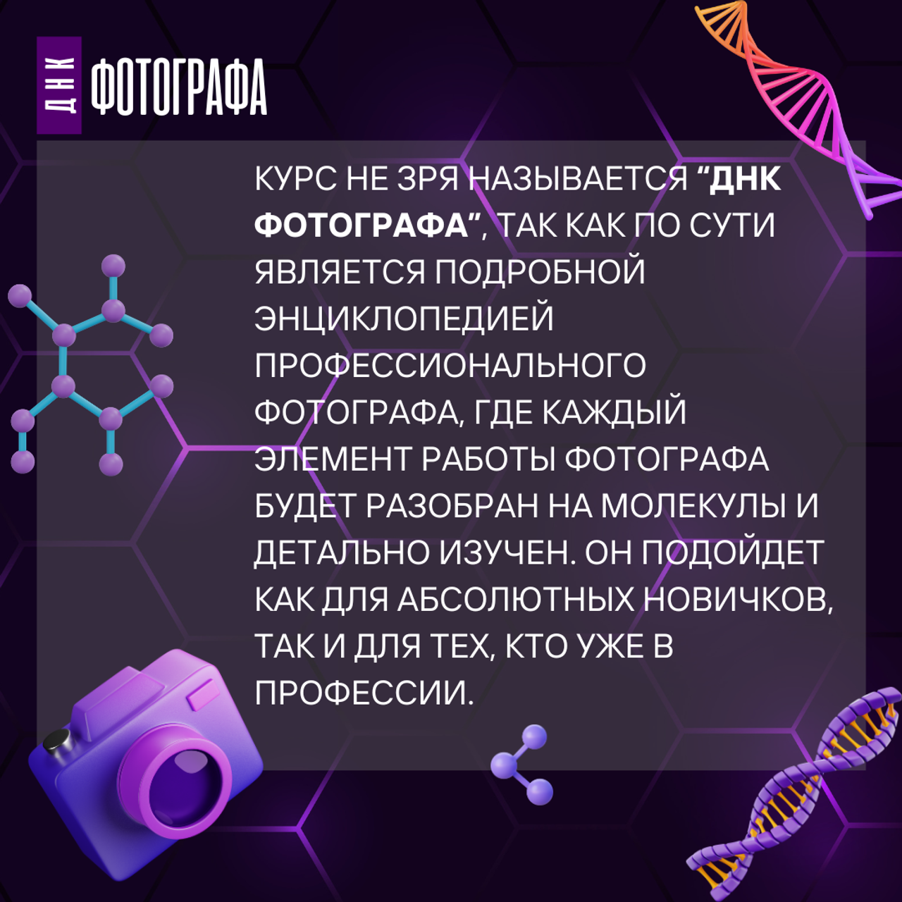 Консультационная услуга онлайн курс ДНК ФОТОГРАФА
