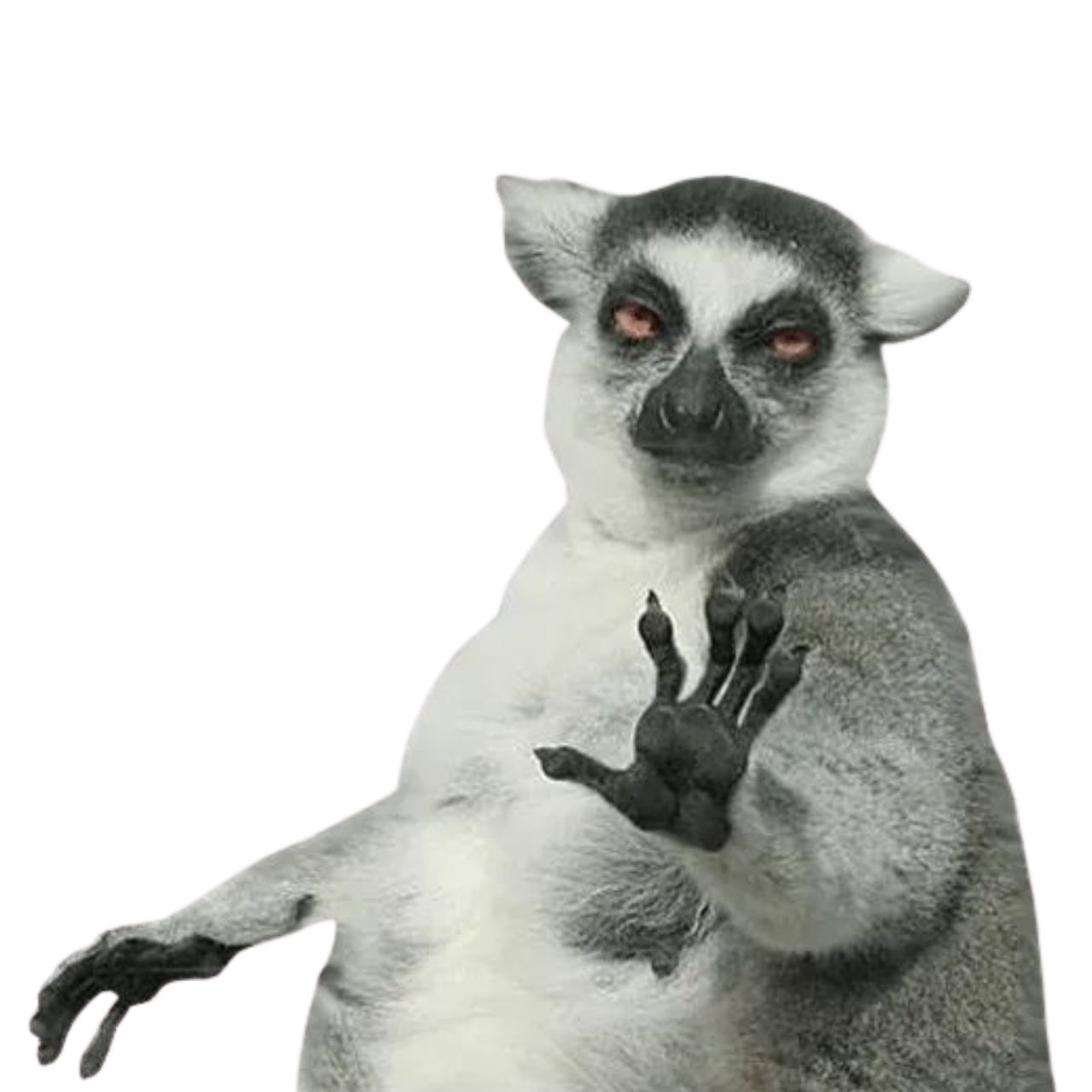 Подача уведомления в РКН о включении в реест ОПД. Фотограф Наталия Федосова, г. Москва. TG и Instagram @nataliya_raw