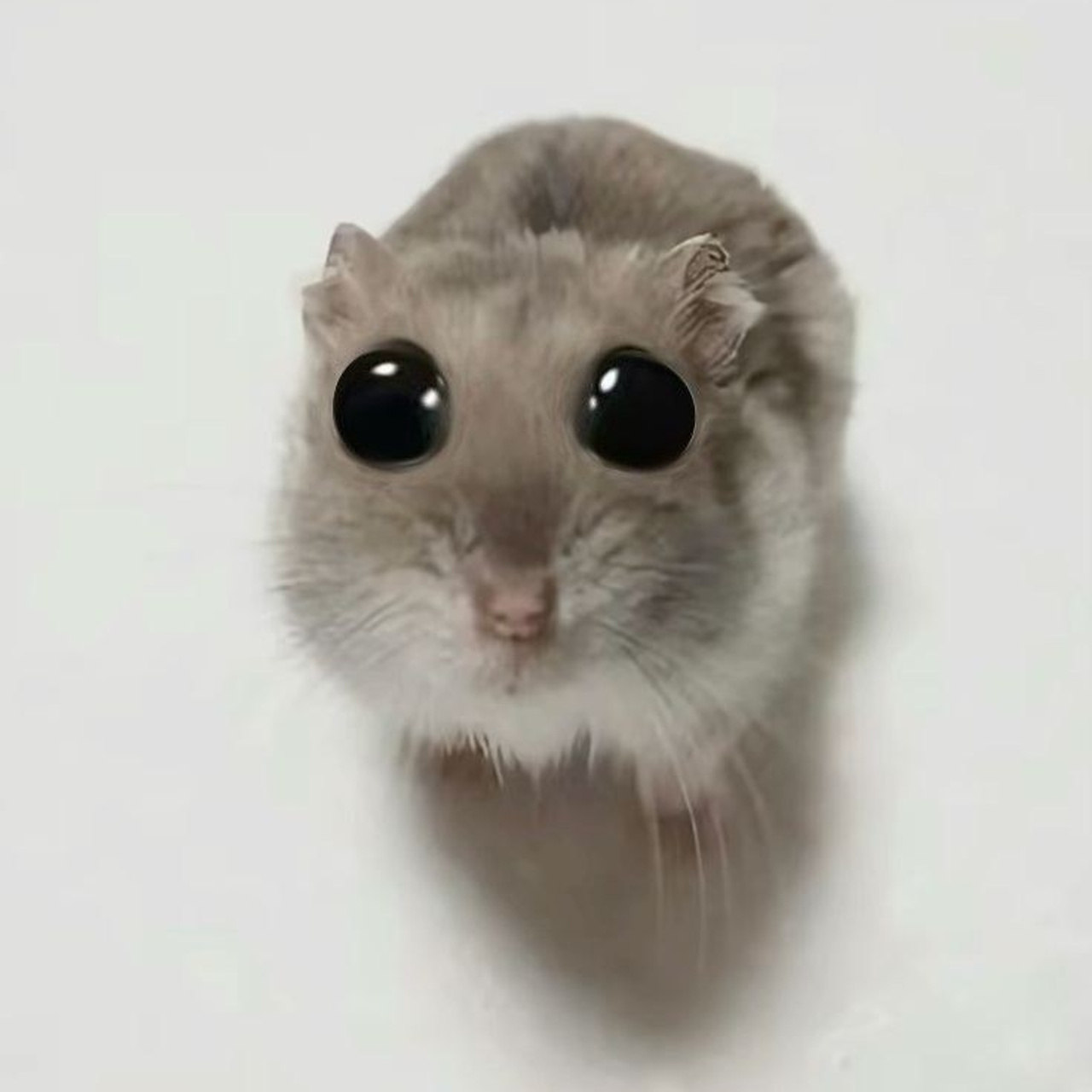 Максимальный пакет внутренней документации ОПД. Фотограф Наталия Федосова, г. Москва. TG и Instagram @nataliya_raw