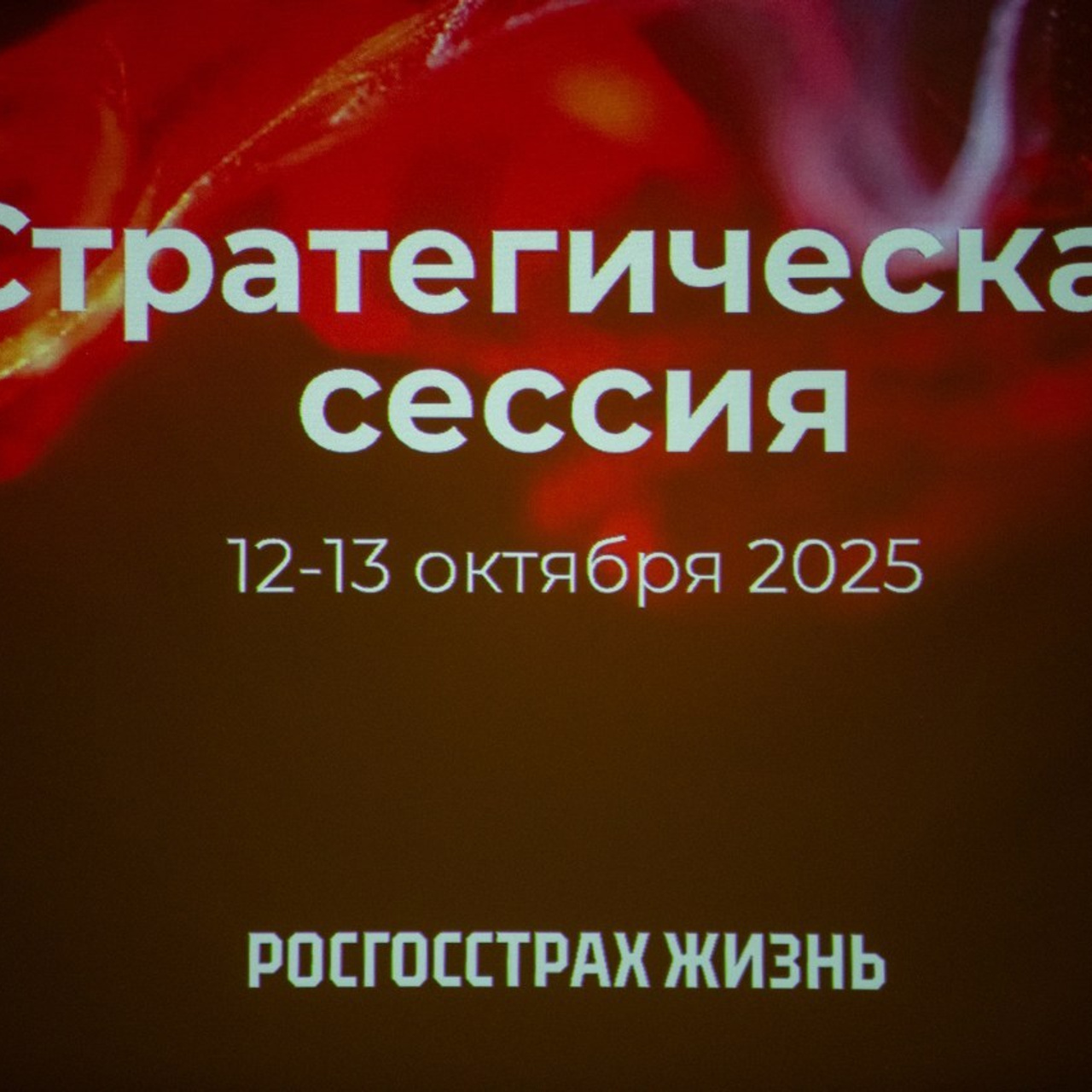 Отзывы. Фотограф Роман Ефремов