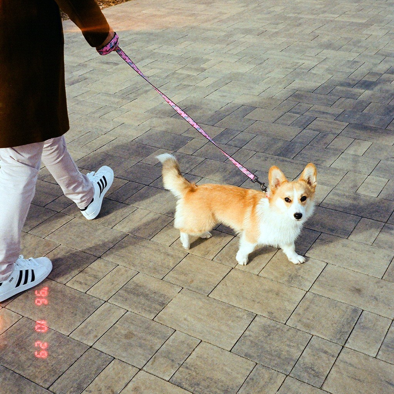 ПЛЕНКА. EFIMOV IN SPACE — свадебный фотограф