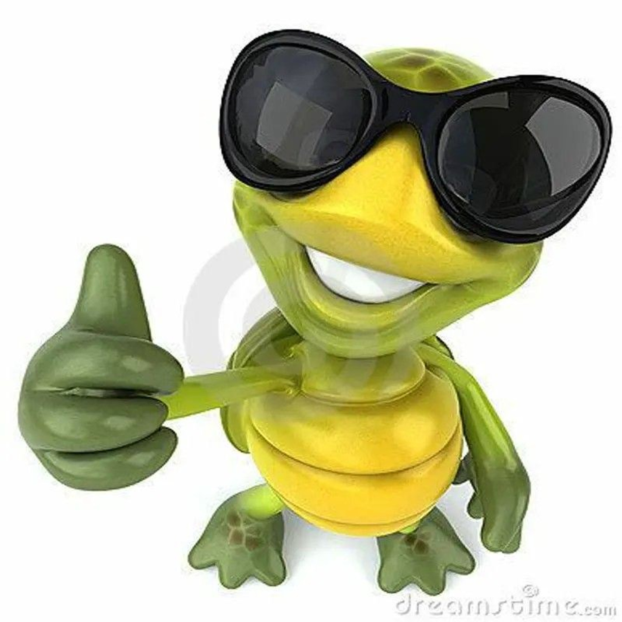 Отзывы клиентов о проведенных фотосессиях