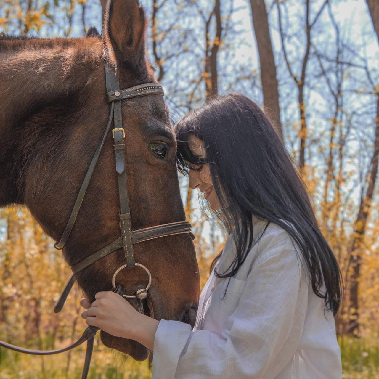 Конная прогулка
