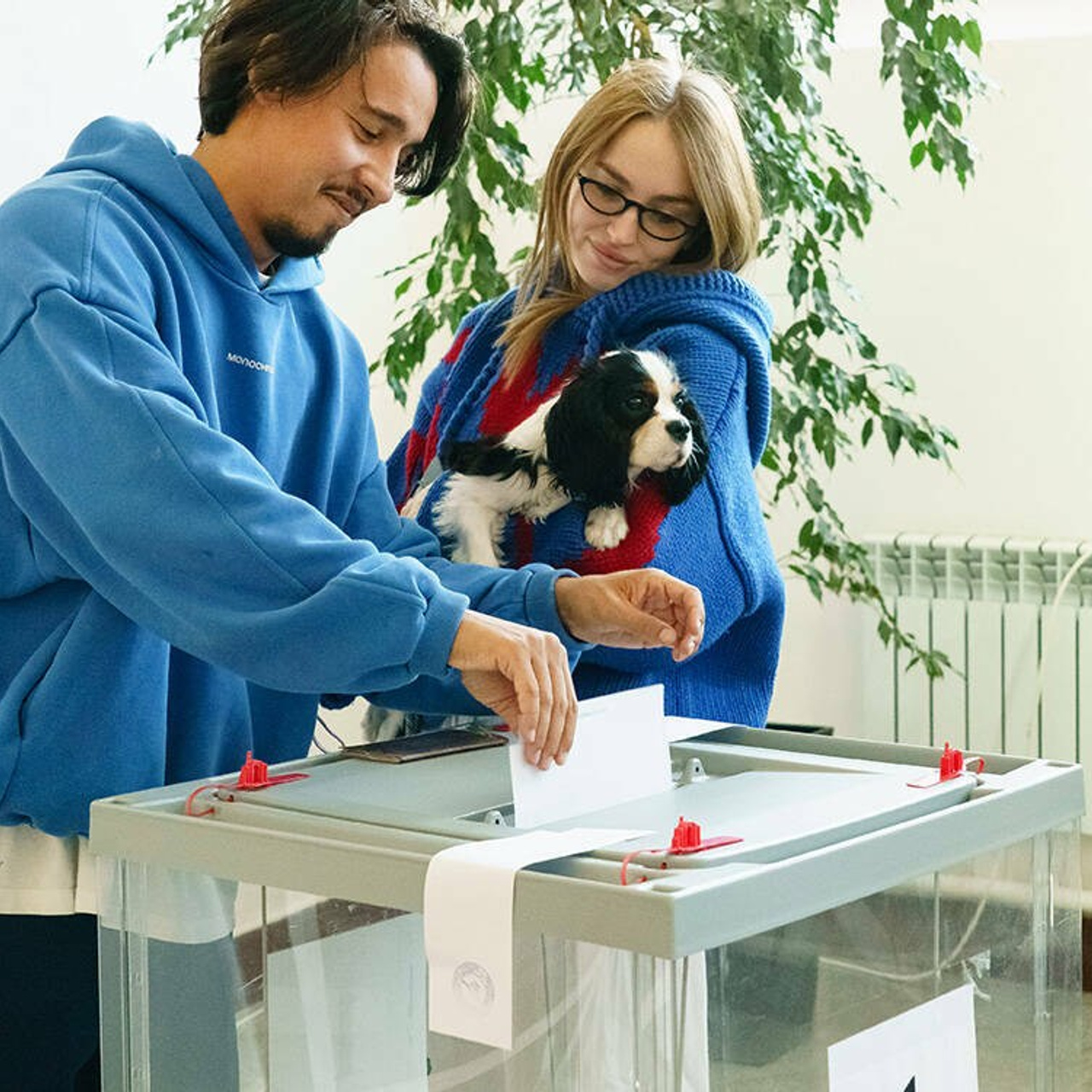 Ящик для голосования стационарный