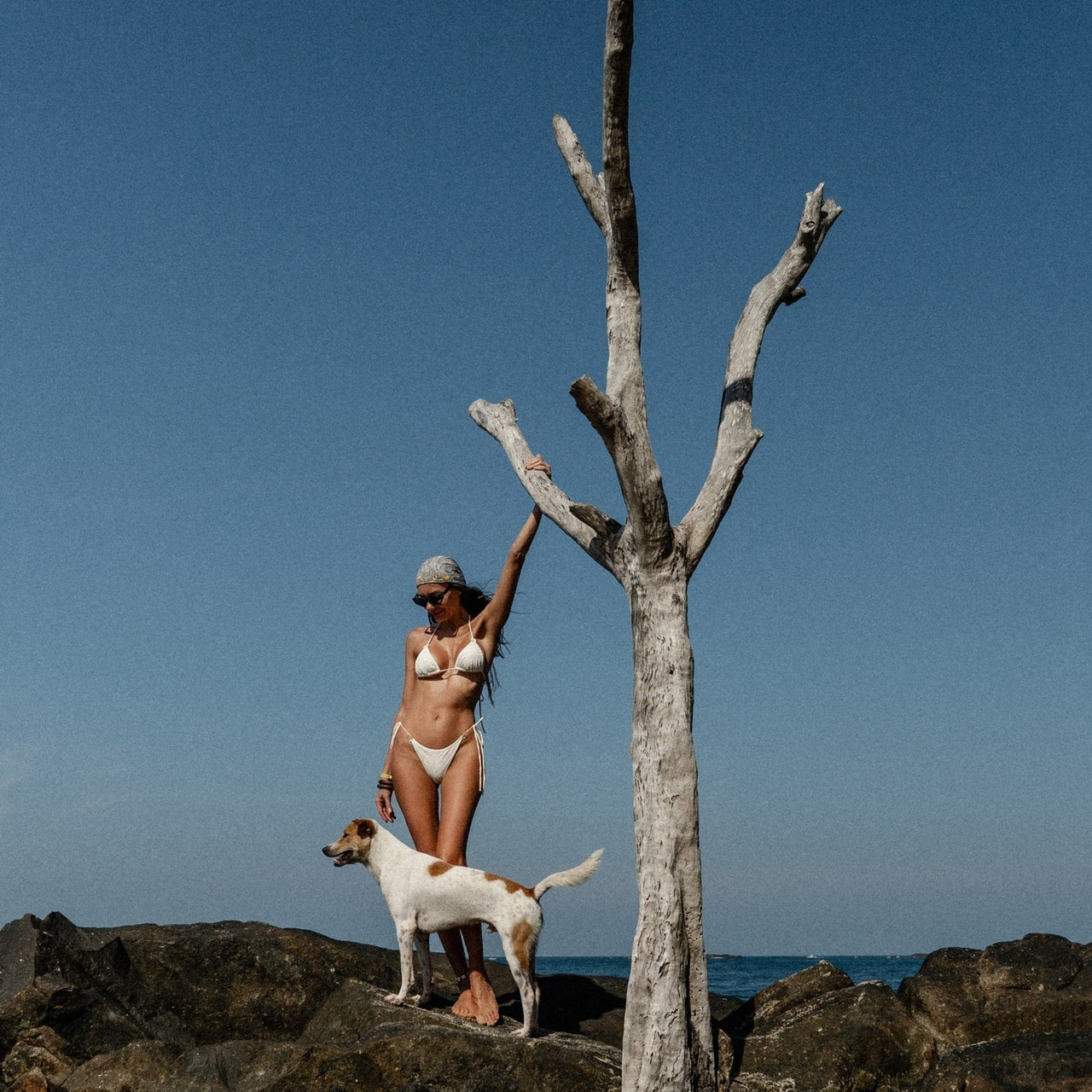 Отзывы. Dolce_wedding