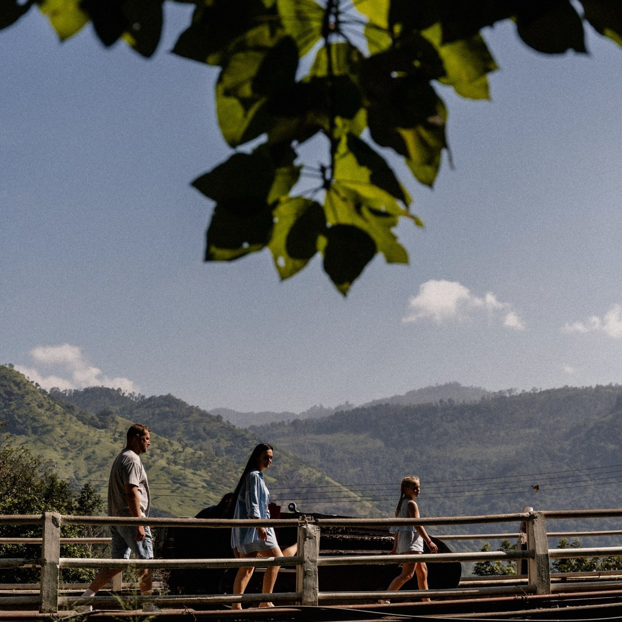 Отзывы. Dolce_wedding