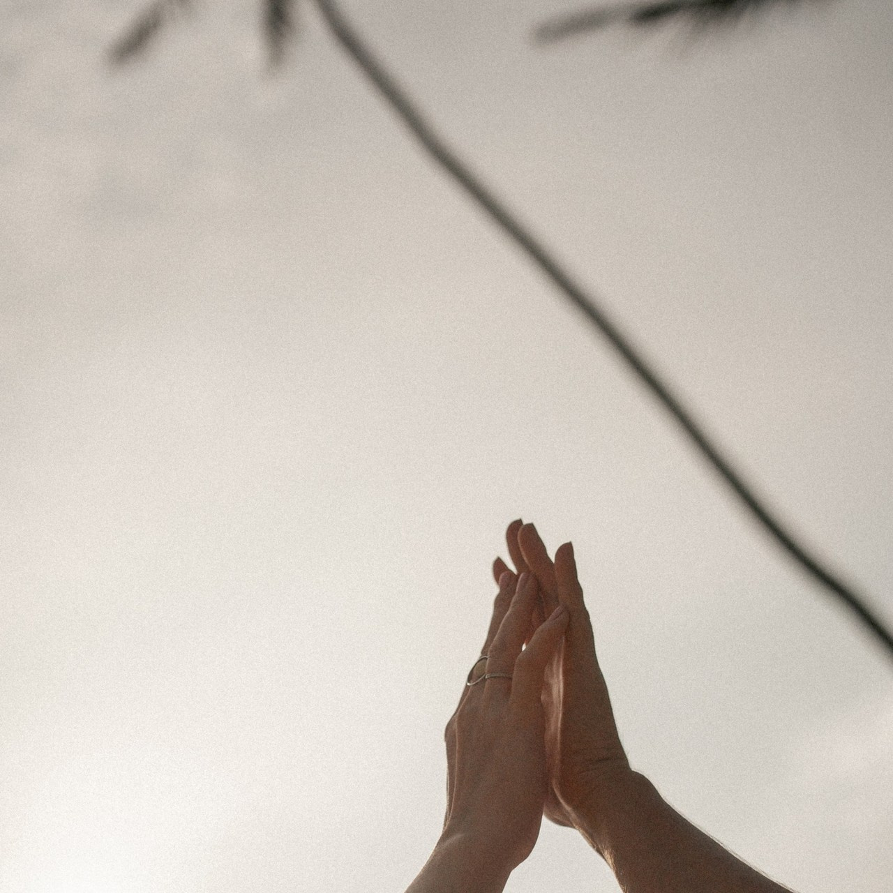 Отзывы. Dolce_wedding