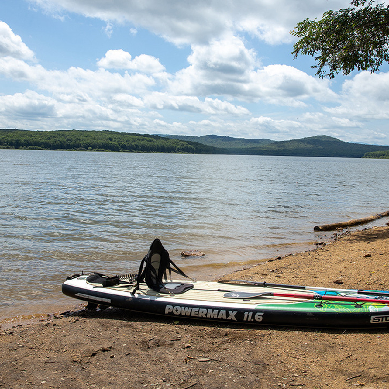 Отзывы. Семейный и детский фотограф Светлана Котик Спасск-Дальний, Владивосток, Приморский край