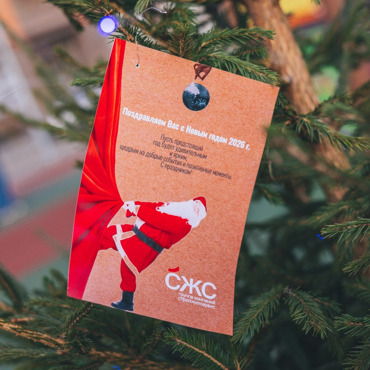 Отзывы. Фотограф в Кисловодске Юлия Танасова