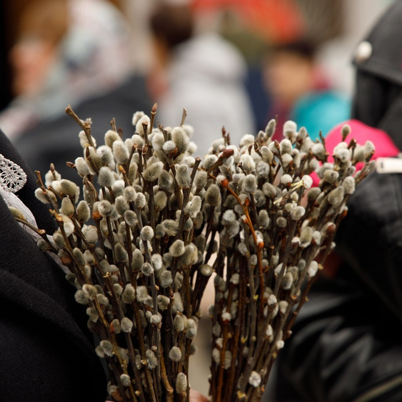 Отзывы. Фотограф Новороссийск