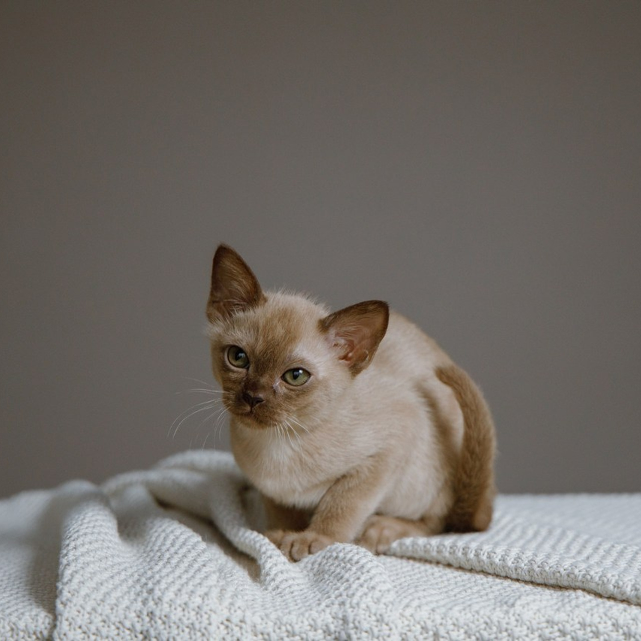 Отзывы. Фотограф Новороссийск