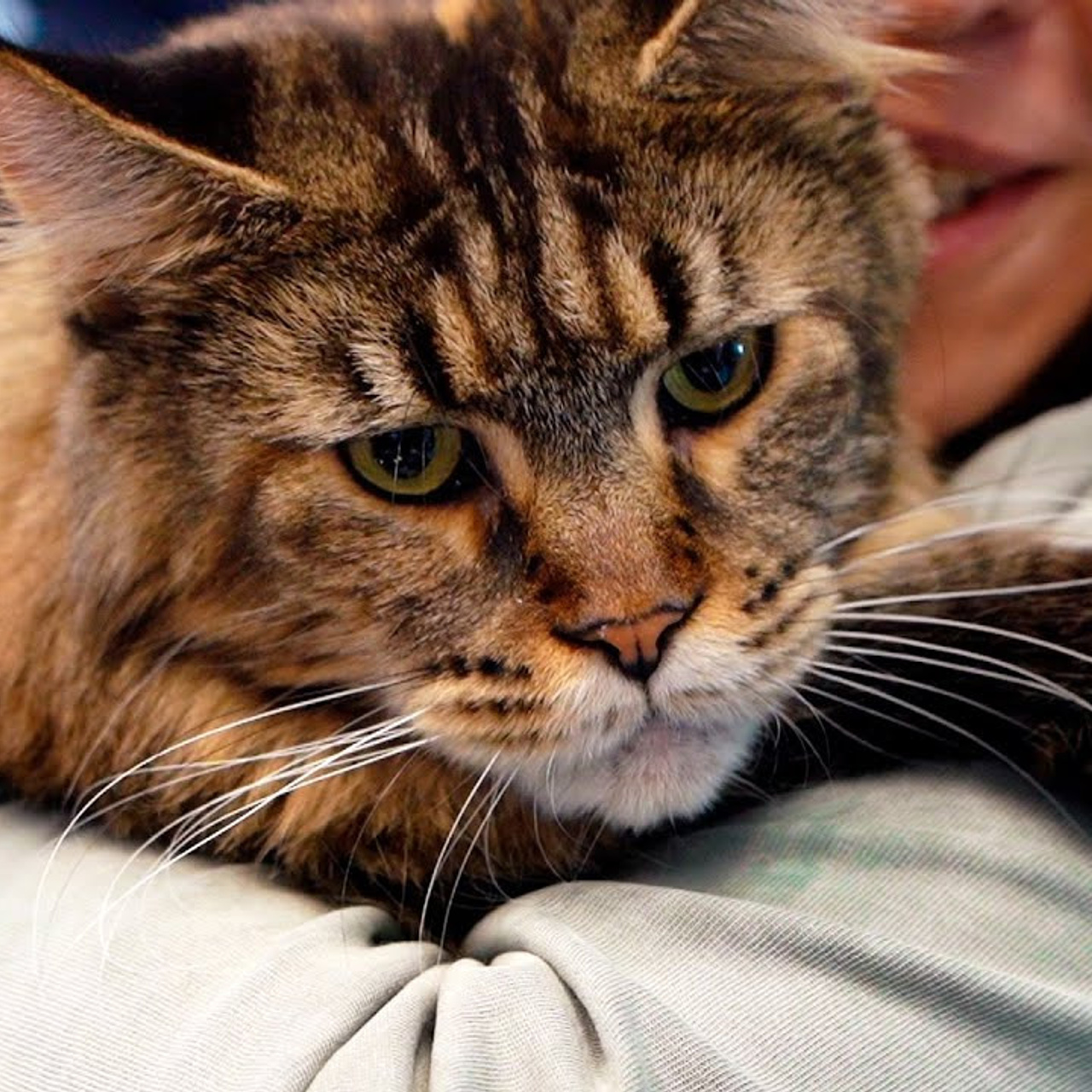 Выставки и конференции