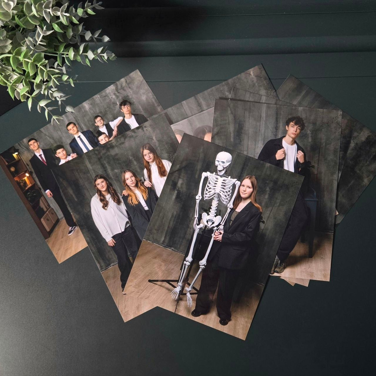 Фотографии