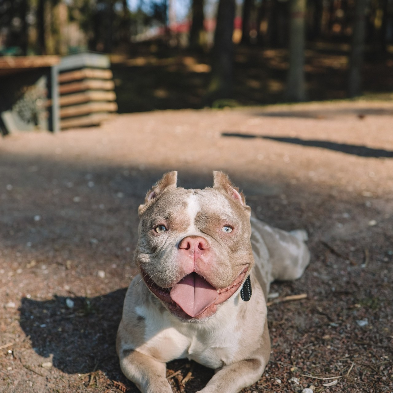 Фотограф Олеся Беляева | Санкт-Петербург и Ленобласть