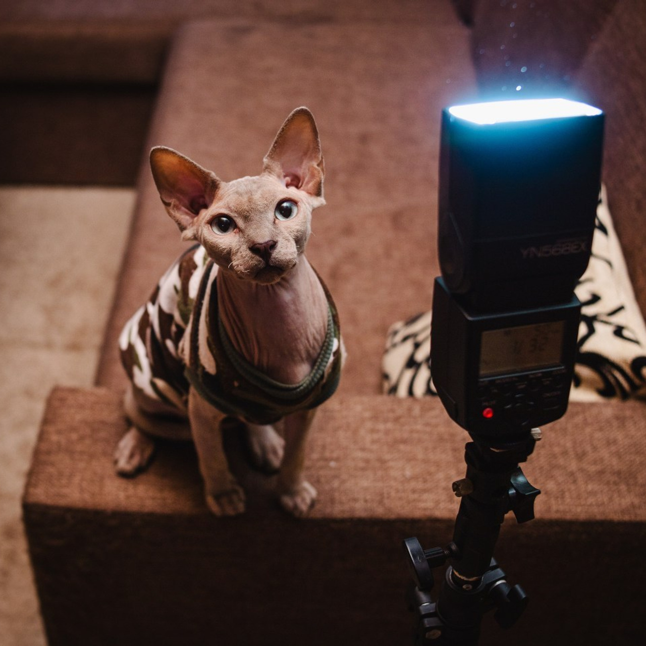 Отзывы о съемках. Фотограф Томин Дмитрий. Профессиональный Фотограф: Электросталь, Ногинск, Москва. Томин Дмитрий