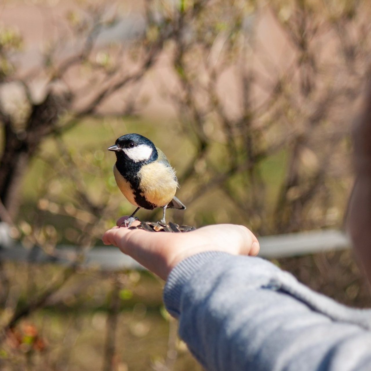 Отзывы. |Lopatina Photography| Фотографы в Санкт-Петербурге