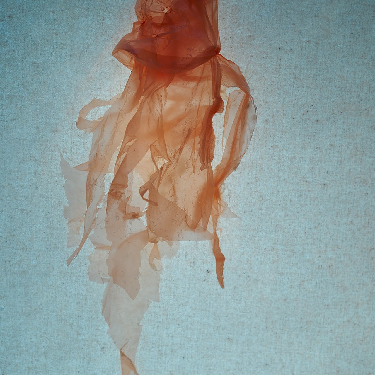 POLYETHYLENE SOULS. Ekaterina Bovkunova Photographer and Creator