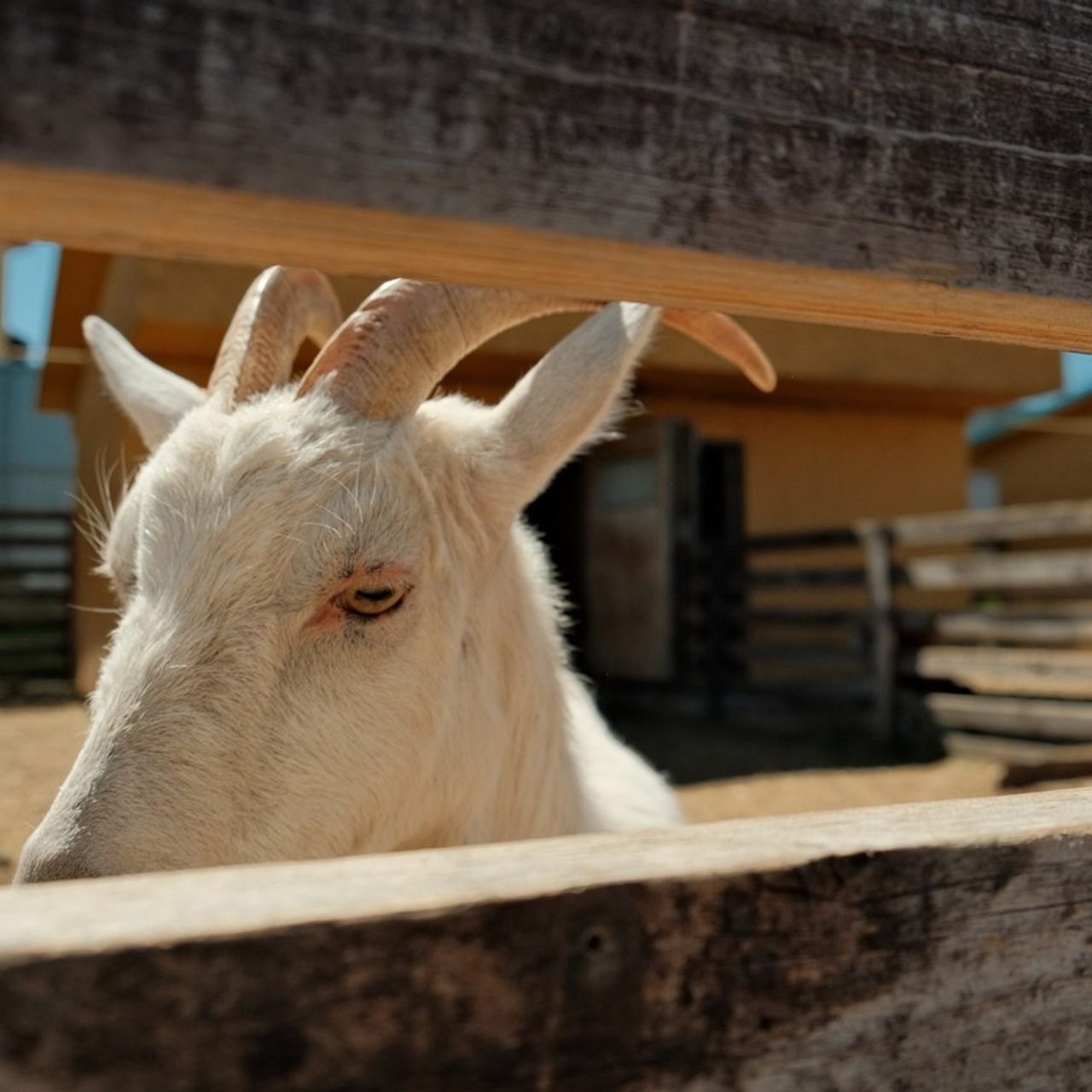 Отзывы. Serg_film