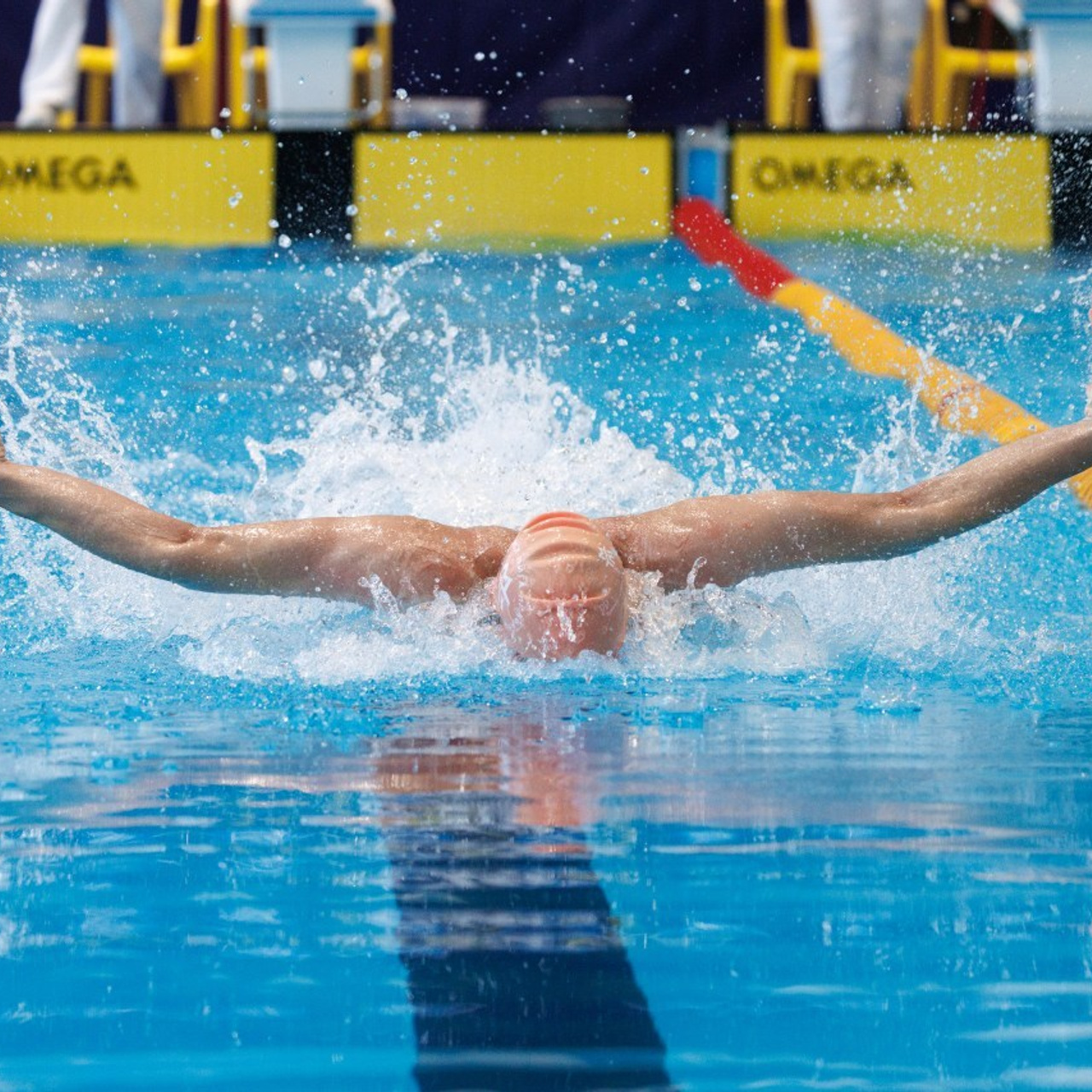 Отзывы. Спортивный фотограф Алексей Соломин